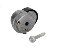 Brazo tensor, correa poli V INA 534 0607 10 para FIAT IDEA (350_) 1.3 2008-2012