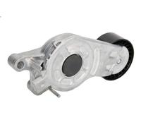 Brazo tensor, correa poli V INA 534 0654 10 para DS DS 3 (SA_) 1.6 2015-2019