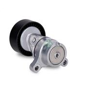 Brazo tensor, correa poli V INA 534 0666 10 para OPEL ANTARA A (L07) 2 2016-2017