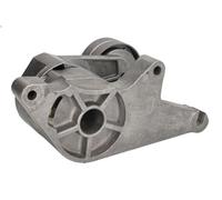 Brazo tensor, correa poli V INA 534 0679 10