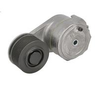 Schaeffler INA Tensor de correa, correa poli V (Ref: 534 0967 10)
