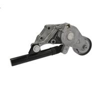Brazo tensor, correa poli V SKF VKM 31012 para AUDI A3 (8L1) 1.9 1997-2001