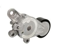Polea tensora, Correa poly V SKF VKM 31042