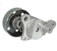 Brazo tensor, correa poli V SKF VKM 61019 para RAV 4 II (_A2_) 2 2001-2005