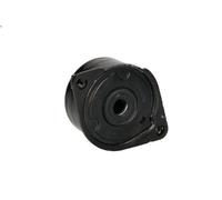 Brazo tensor, correa poli V SNR GA350.52 para BMW 5 (E39) 3 1998-2000