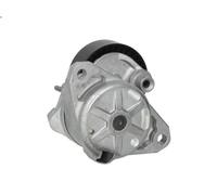 Brazo tensor, correa poli V SNR GA351.23 para SL (R230) 3 2009-2012