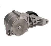 Brazo tensor, correa poli V SNR GA365.41 para VOLVO S60 I (384) 2.4 2001-2010