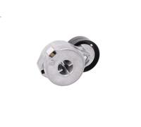 Brazo tensor, correa poli V SNR GA380.00 para DISCOVERY II (L318) 2.5 1998-