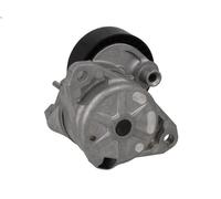 Brazo tensor, correa poli V SWAG 10 92 8149 para SL (R230) 3 2009-2012