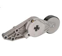 Brazo tensor, correa poli V SWAG 30 91 9736 para AUDI A4 B5 (8D2) 1.6 1994-2000