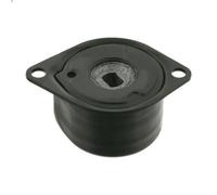Brazo tensor, correa poli V SWAG 30 92 7814 para CALIFORNIA T4 Camper 2.5 1998-