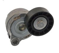 Brazo tensor, correa poli V SWAG 55 94 9398 para VOLVO V60 I (155) 2 2012-2015