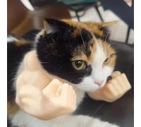 Brazos musculares impresos en 3D para gato, divertido accesorio de disfraz para gatitos, disfraces de gato para fiestas de cumpleaños, disfraz de Halloween y mascota divertida (beige)