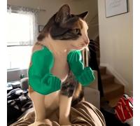 Brazos musculares impresos en 3D para gato, divertido accesorio de disfraz para gatitos, disfraces de gato para fiestas de cumpleaños, disfraz de Halloween y mascota divertida (verde)