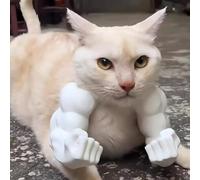 Brazos musculares impresos en 3D para gato, divertido accesorio de disfraz para gatitos, disfraces de gato para fiestas de cumpleaños, disfraz de Halloween y mascota divertida (blanco)