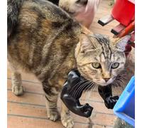 Brazos musculares impresos en 3D para gato, divertido accesorio de disfraz para gatitos, disfraces de gato para fiestas de cumpleaños, disfraces de Halloween y mascota divertida (negro)