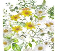 BRDXOOL Paquete de 40 pegatinas de plantas retro PET manual DIY pegatinas decorativas adecuadas para diarios, tarjetas de felicitación e ilustraciones botánicas creativas hechas a mano