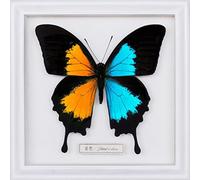 音色 / Break it down