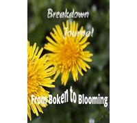 Breakdown Journal: From broken to Blooming
