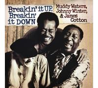 Breakin' It Up Breakin' It Down [Vinilo]
