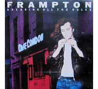 Breaking all the rules (1981) / Vinyl record [Vinyl-LP]