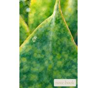 Breathe in Green: A Gentle Notebook for Calm Thoughts, Fresh Starts, and Quiet Moments