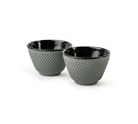 Bredemeijer Juego de 2 tazas de té esmaltadas de hierro fundido, color verde claro, cada una con capacidad de 100 ml