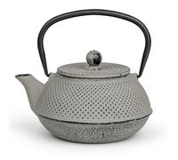 Bredemeijer Pequeña tetera Asia de hierro fundido para inducción, 0,8 litros, color gris esmaltado con filtro de acero inoxidable