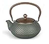 Bredemeijer teekanne jiangxi 0,7 gusseisen blau + fiter 153204