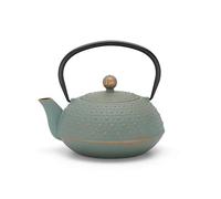 Bredemeijer Tetera pequeña de hierro fundido de 0,9 litros, para inducción, color azul asiático, con asa y filtro de acero inoxidable, ideal para tipos de té sueltos
