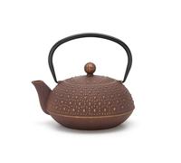 Bredemeijer Tetera pequeña de hierro fundido de 0,9 litros para inducción, jarra de hierro fundido asiática violeta con asa y filtro de acero inoxidable, ideal para tipos de té sueltos