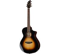 Breedlove Performer Pro Concert T CE(IR)