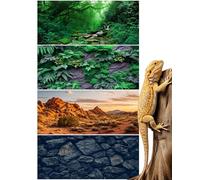 Breling 4 piezas de fondo de hábitat de reptiles con nano pegamento, Gobi Sun Cactus Stone y árbol verde helecho arroyo terrario de poliéster duradero accesorios para acuario (estilo 2, 36 x 18