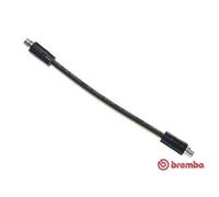 BREMBO Freno Cable de Delantero Izquierdo Derecho para Audi A4 Avant T 85 064