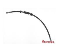 BREMBO Freno Cable de Delantero Izquierdo Derecho para VW Touareg Q7 T 85 129