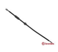 BREMBO Freno Cable de Freno Delantero Izquierdo Derecho para BMW X3 T 06 036