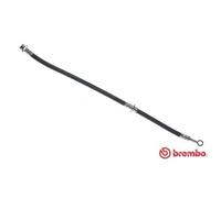 BREMBO Freno Línea de Freno Delantera Derecho para Nissan Almera I Hatchback