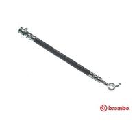 BREMBO Freno Tubería de Freno Trasero Izquierdo para Nissan Juke T 56 164