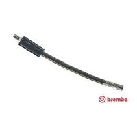 BREMBO Freno Tubería de Freno Trasero para Audi 80 Avant 100 A6 T 85 037