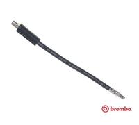 BREMBO Freno Tubería de Trasero Izquierda Derecha para Audi 80 Avant T 85 069
