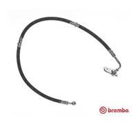 BREMBO Manguera De Freno Delante Derecha Para Suzuki Grand Vitara II