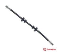 BREMBO Manguera De Freno Delante Derecha Para VW Transporter IV Bus