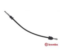 BREMBO Manguera De Freno Delante Izquierda Derecha Para Audi A4 Avant T 85 140