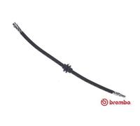 BREMBO Manguera De Freno Delante Izquierda Derecha Para Renault Master III Bus