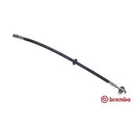 BREMBO Manguera De Freno Delante Izquierda Derecha Para VW Polo Lupo T 85 026