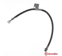 Brembo T 30 049 Accesorios y Mangueras de Frenos