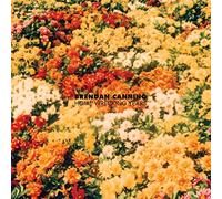 Brendan Canning - Home Wrecking Years