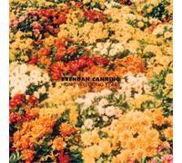 Brendan Canning Home Wrecking Years (Vinyl) 12" Album (Importación USA)