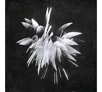 Brent Windler - New Morning Howl