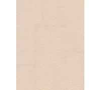 BRESSER 33 Fondo DE Papel 2,72X11M OSTRA